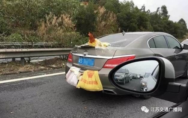 車主高速遇陪跑伙伴，雙閃告別顯真情