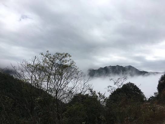 探索自然美景之旅，尋找內(nèi)心的平和與寧靜——Lu福利之旅的驚喜等待您！