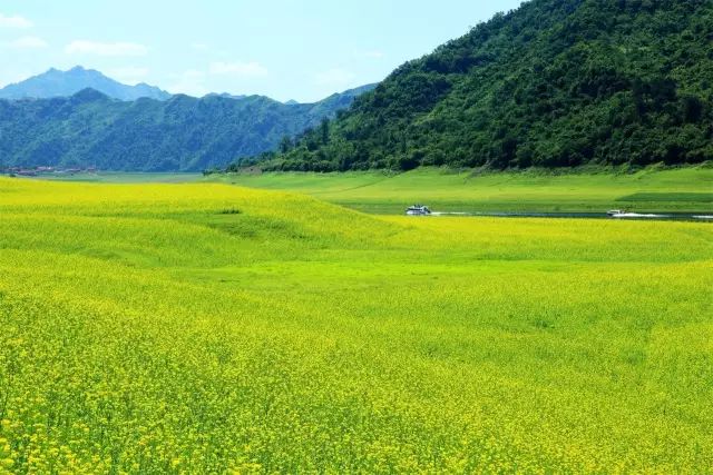 嘉澤新能引領(lǐng)綠色之旅，探尋自然美景，心靈之旅啟程，最新投資動態(tài)揭曉！