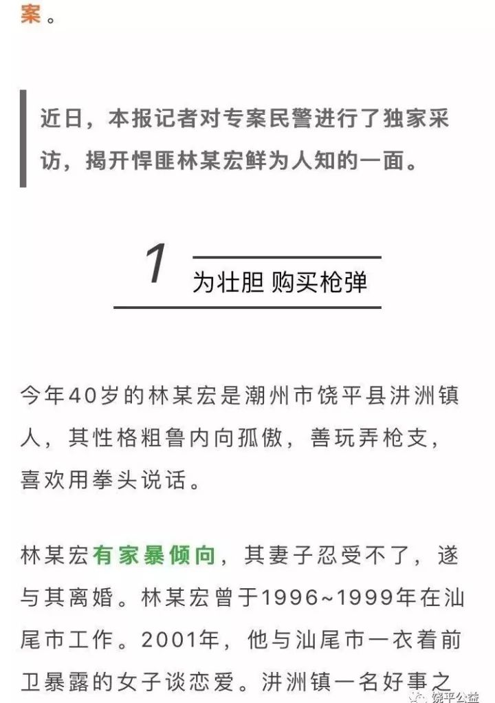 饒平槍擊案最新進展解析，案件全貌揭秘與應(yīng)對方式探討（最新情況更新）