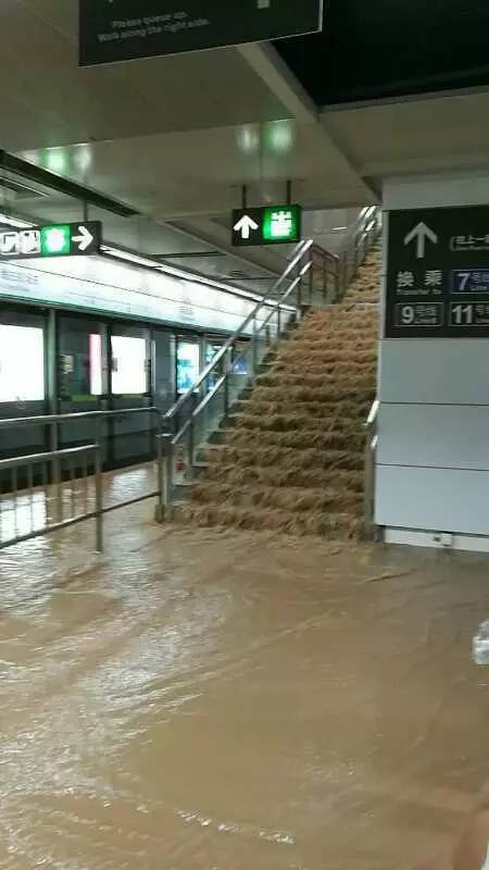 深圳暴雨預(yù)警下的隱秘小巷美食探秘，暴雨預(yù)警中的美食奇遇