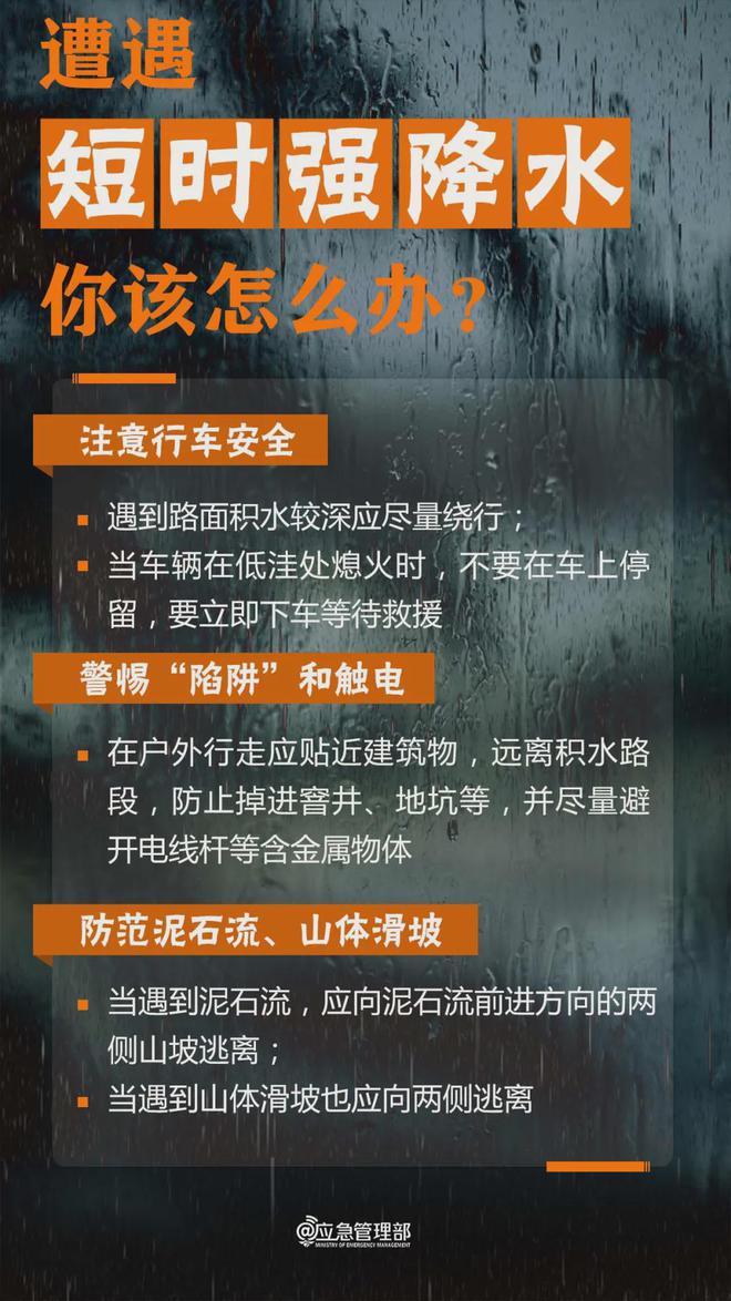 管家婆獨家一碼一肖匯總，ESX698.06防御計劃深度解析