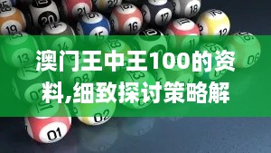 澳門王中王100的資料,細(xì)致探討策略解答解釋_DVQ7.70.72模塊版