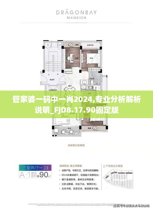 管家婆一碼中一肖2024,專業(yè)分析解析說明_FJD8.17.90固定版