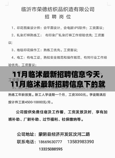 11月臨沭最新招聘信息匯總，就業(yè)市場觀察與個人選擇