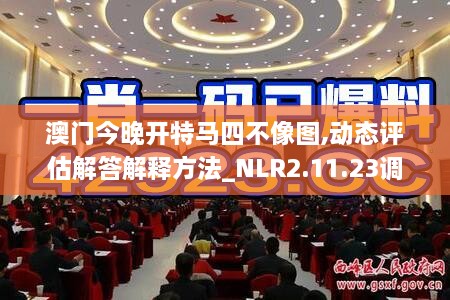 澳門今晚開特馬四不像圖,動態(tài)評估解答解釋方法_NLR2.11.23調整版