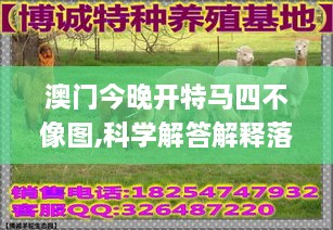 澳門今晚開特馬四不像圖,科學(xué)解答解釋落實(shí)_QMF6.76.53趣味版