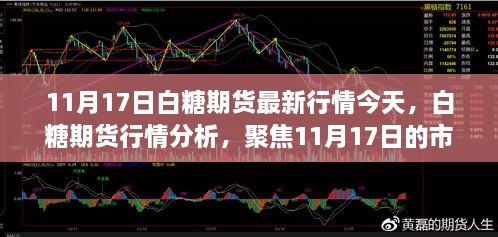 白糖期貨行情分析，聚焦市場動態(tài)與未來展望（最新行情報道，日期，11月17日）