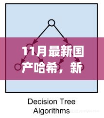 新哈希算法下的暖心日常，友情、家庭與愛的紐帶（11月最新國(guó)產(chǎn)哈希分享）