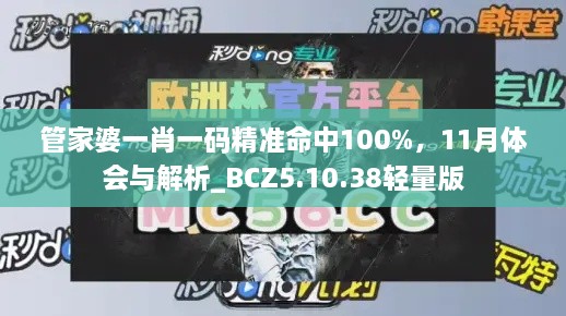 管家婆一肖一碼精準(zhǔn)命中100%，11月體會與解析_BCZ5.10.38輕量版