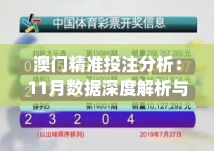 澳門精準(zhǔn)投注分析：11月數(shù)據(jù)深度解析與VAE3.74.27無(wú)線版設(shè)計(jì)