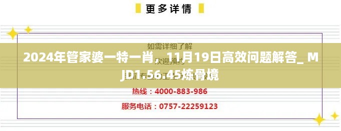 2024年管家婆一特一肖，11月19日高效問題解答_ MJD1.56.45煉骨境