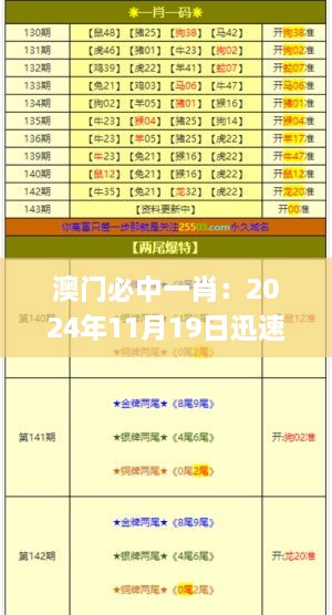 澳門必中一肖：2024年11月19日迅速實施調整方案_KEC8.65.56未來科技版