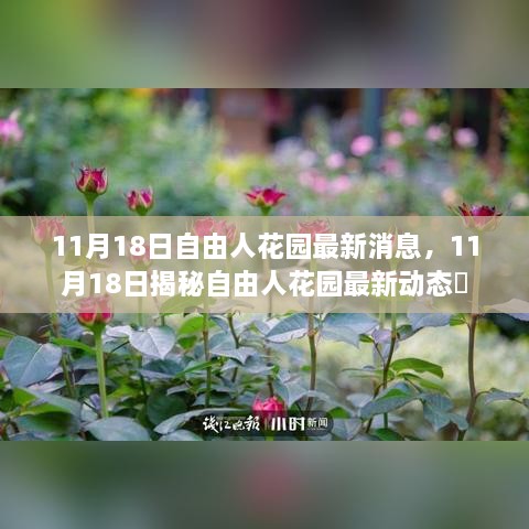 揭秘自由人花園最新動態(tài)，最新消息一覽（11月18日）