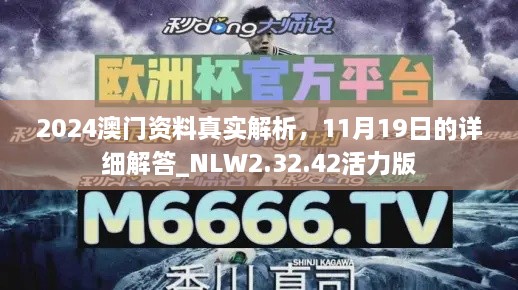 2024澳門資料真實解析，11月19日的詳細解答_NLW2.32.42活力版