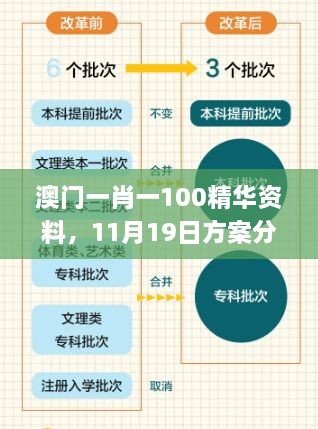 澳門一肖一100精華資料，11月19日方案分析與解讀_PDE3.33.55精選版