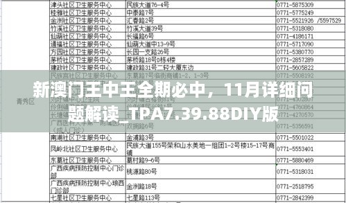 新澳門王中王全期必中，11月詳細(xì)問題解讀_TPA7.39.88DIY版