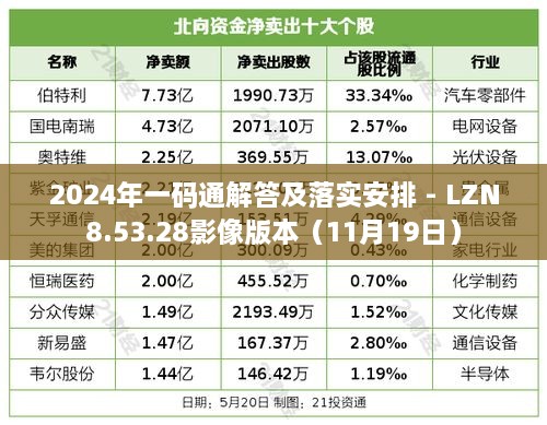 2024年一碼通解答及落實(shí)安排 - LZN8.53.28影像版本（11月19日）