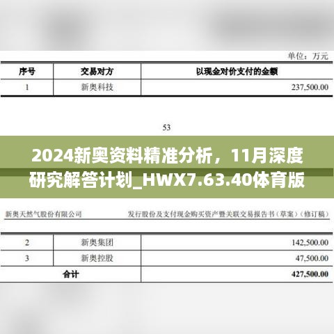 2024新奧資料精準(zhǔn)分析，11月深度研究解答計劃_HWX7.63.40體育版