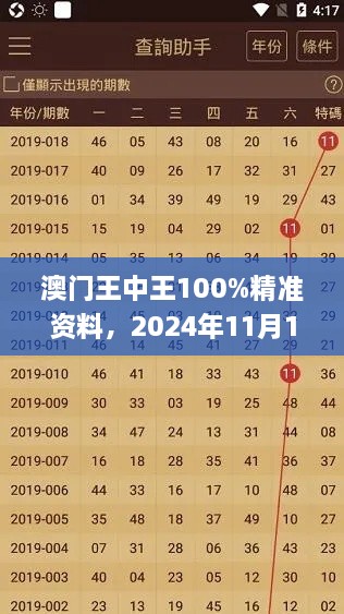 澳門王中王100%精準資料，2024年11月19日可視化管理方案_RNM1.66.77私密版