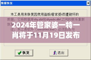 2024年管家婆一特一肖將于11月19日發(fā)布，便捷解答與解釋_LKT7.17.68專家版