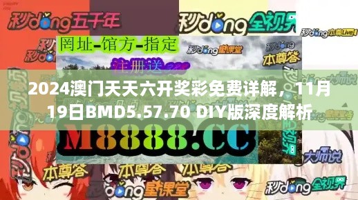 2024澳門天天六開獎彩免費(fèi)詳解，11月19日BMD5.57.70 DIY版深度解析