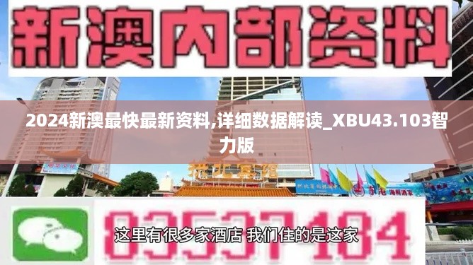 2024新澳最快最新資料,詳細(xì)數(shù)據(jù)解讀_XBU43.103智力版