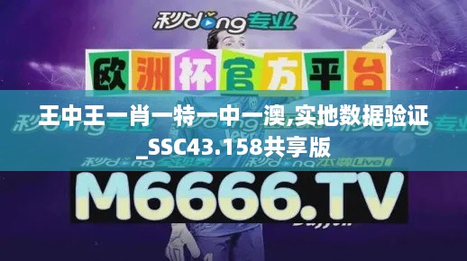 王中王一肖一特一中一澳,實(shí)地數(shù)據(jù)驗(yàn)證_SSC43.158共享版