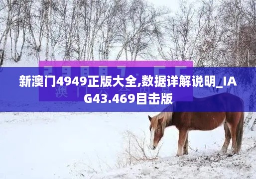 新澳門4949正版大全,數(shù)據詳解說明_IAG43.469目擊版