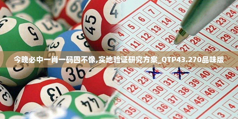 今晚必中一肖一碼四不像,實地驗證研究方案_QTP43.270品味版