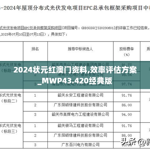 2024年11月 第446頁