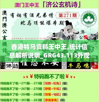 香港特馬資料王中王,統(tǒng)計信息解析說明_GRG43.113外觀版