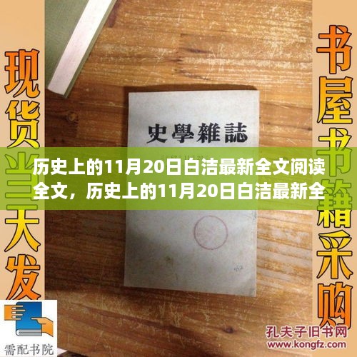 歷史上的11月20日白潔最新全文閱讀，產品評測與介紹全解析