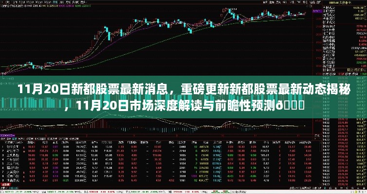 11月20日新都股票最新動(dòng)態(tài)與市場(chǎng)深度解讀，前瞻性預(yù)測(cè)揭秘??