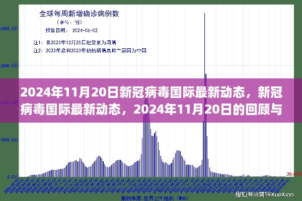 新冠病毒國際最新動態(tài)，2024年11月20日的回顧與影響分析