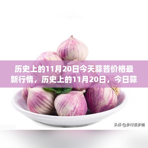 歷史上的11月20日，今日蒜苔價(jià)格與自然美景之旅，探尋內(nèi)心寧靜與平和的旅程