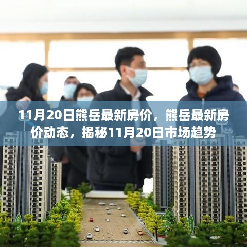 揭秘，熊岳最新房價動態(tài)及市場趨勢（11月20日更新）