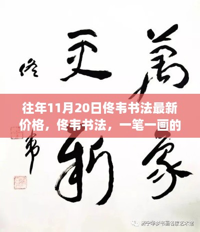 佟韋書(shū)法，價(jià)格、成長(zhǎng)與力量的見(jiàn)證，一筆一畫(huà)展現(xiàn)自信與變化的力量