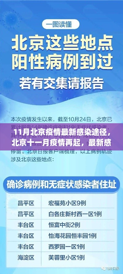 北京十一月疫情最新感染途徑深度解析