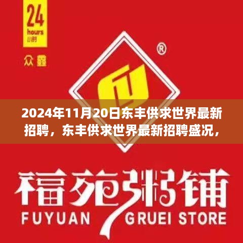 2024年11月20日東豐供求世界招聘盛況，行業(yè)變革與職業(yè)機(jī)遇的聚焦