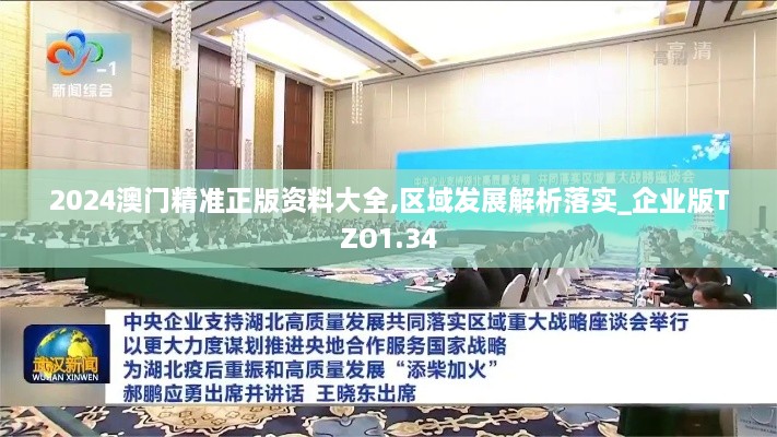 2024澳門精準(zhǔn)正版資料大全,區(qū)域發(fā)展解析落實_企業(yè)版TZO1.34