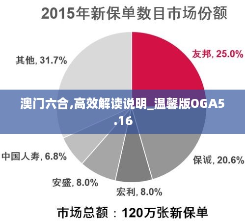 澳門(mén)六合,高效解讀說(shuō)明_溫馨版OGA5.16