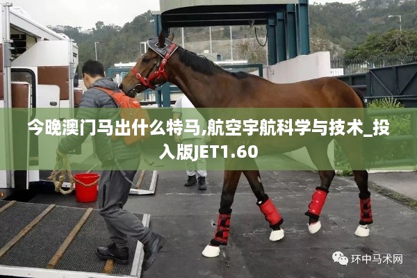 今晚澳門馬出什么特馬,航空宇航科學與技術_投入版JET1.60