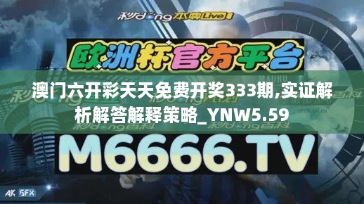 澳門六開彩天天免費(fèi)開獎(jiǎng)333期,實(shí)證解析解答解釋策略_YNW5.59