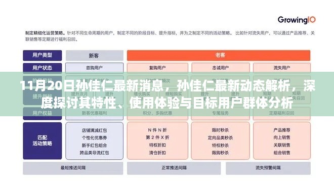 孫佳仁最新動態(tài)深度解析，特性、使用體驗(yàn)與目標(biāo)用戶群體分析報(bào)告