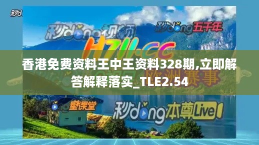 香港免費資料王中王資料328期,立即解答解釋落實_TLE2.54