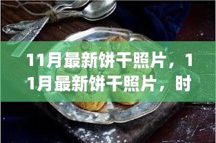 時尚與傳統(tǒng)交融的餅干美學(xué)，11月最新餅干照片探析