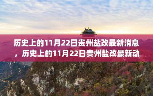 揭秘貴州鹽改最新動(dòng)態(tài)，歷史上的11月22日最新消息揭秘