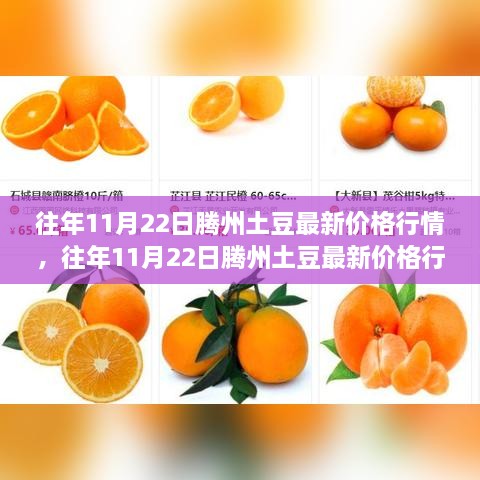 往年11月22日騰州土豆價(jià)格行情深度解析及市場(chǎng)分析