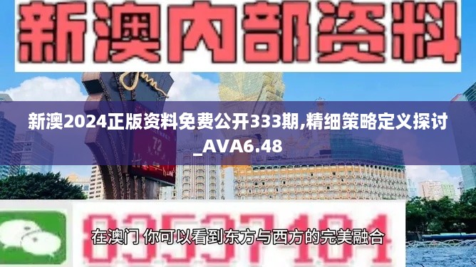 新澳2024正版資料免費公開333期,精細(xì)策略定義探討_AVA6.48